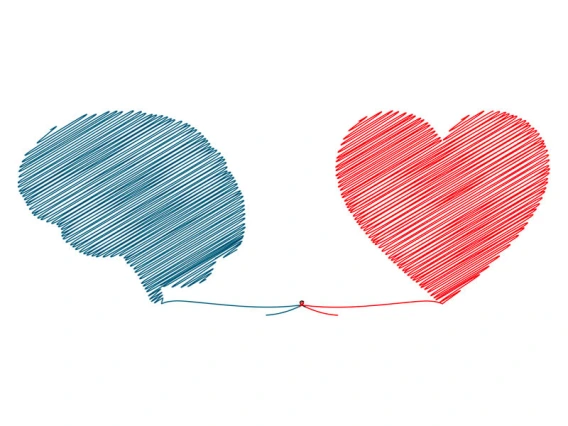 line illustration of blue brain and red heart