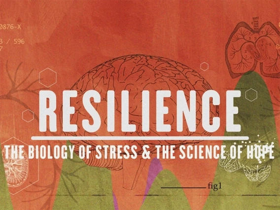 Reslience Film Logo Green and Orange